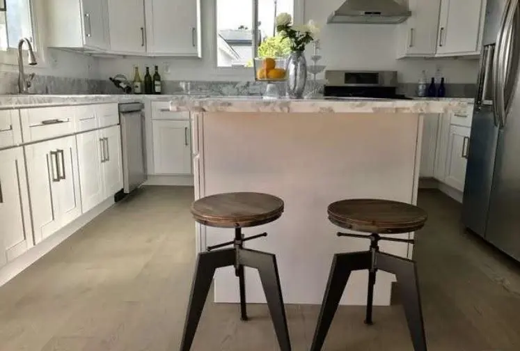Venice Beach Modern kitchen, photo 6